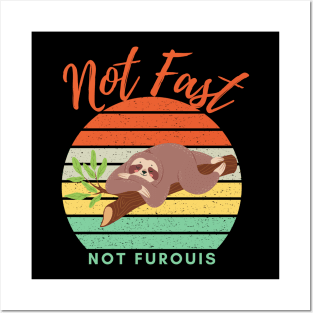 Not Fast Not Furious Posters and Art